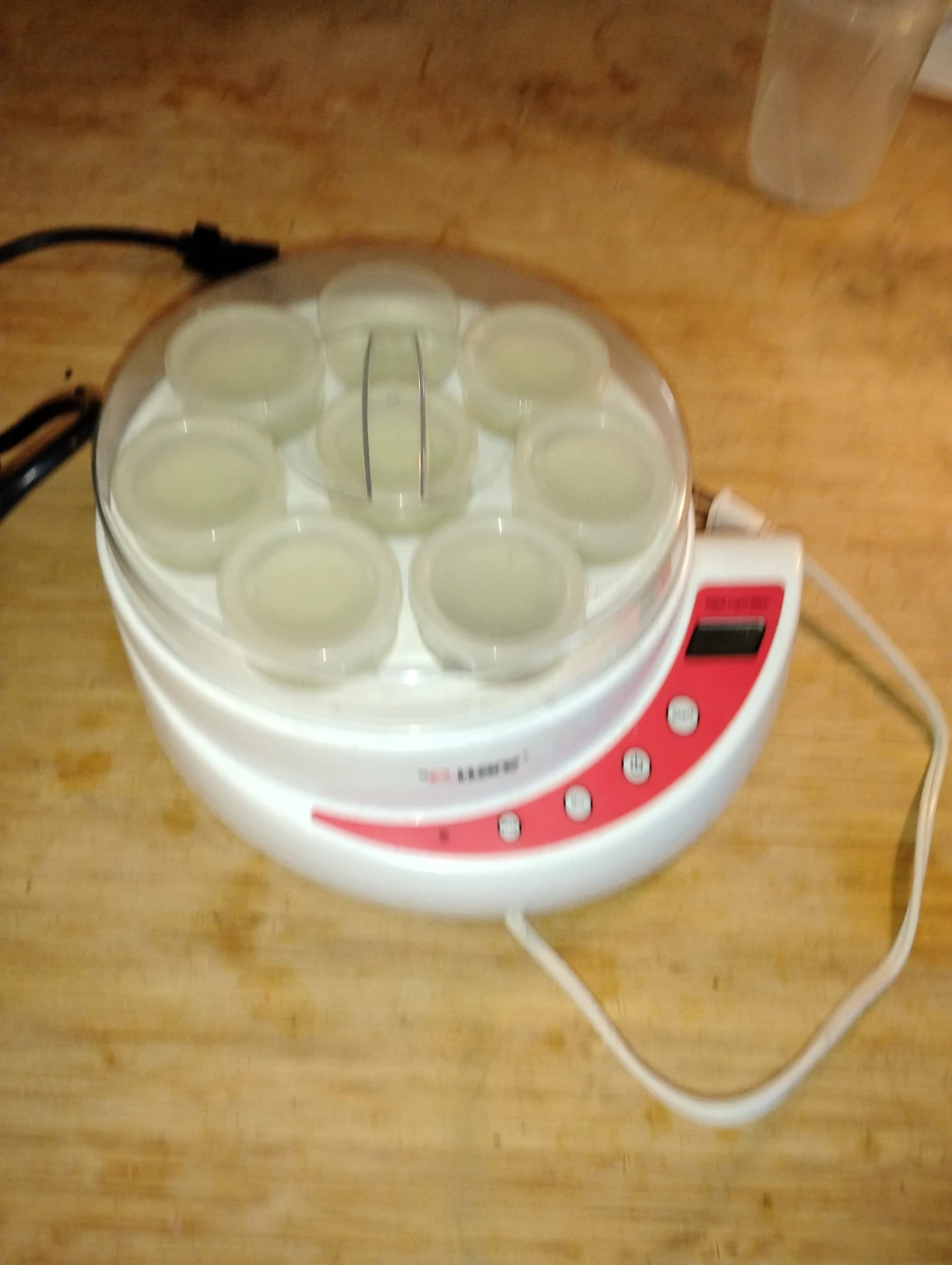 Euro Cuisine Digital Yogurt Maker