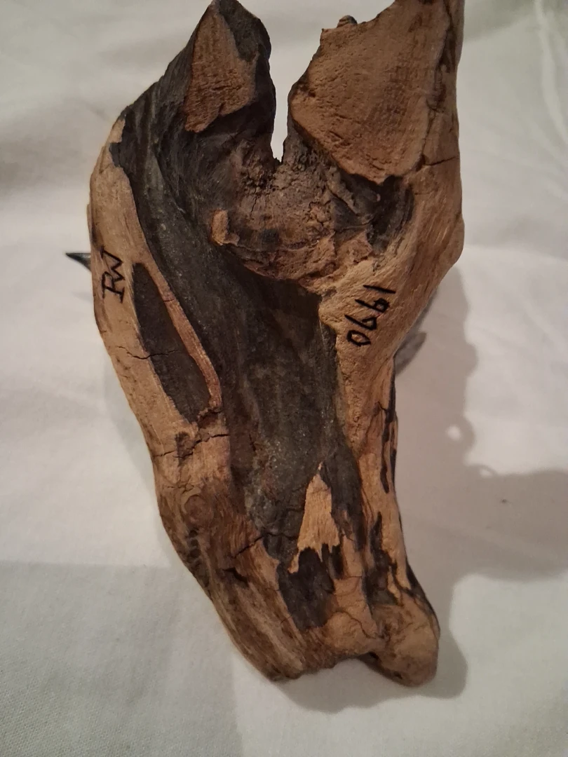 Carved Wooden Bird on Driftwood medidas 10 cm