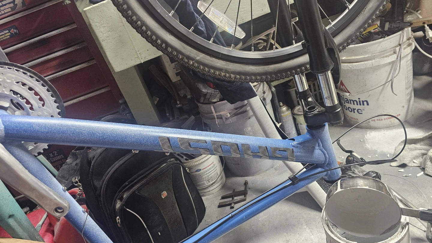 Blue ghost Mountain Bike Frame - photo 5