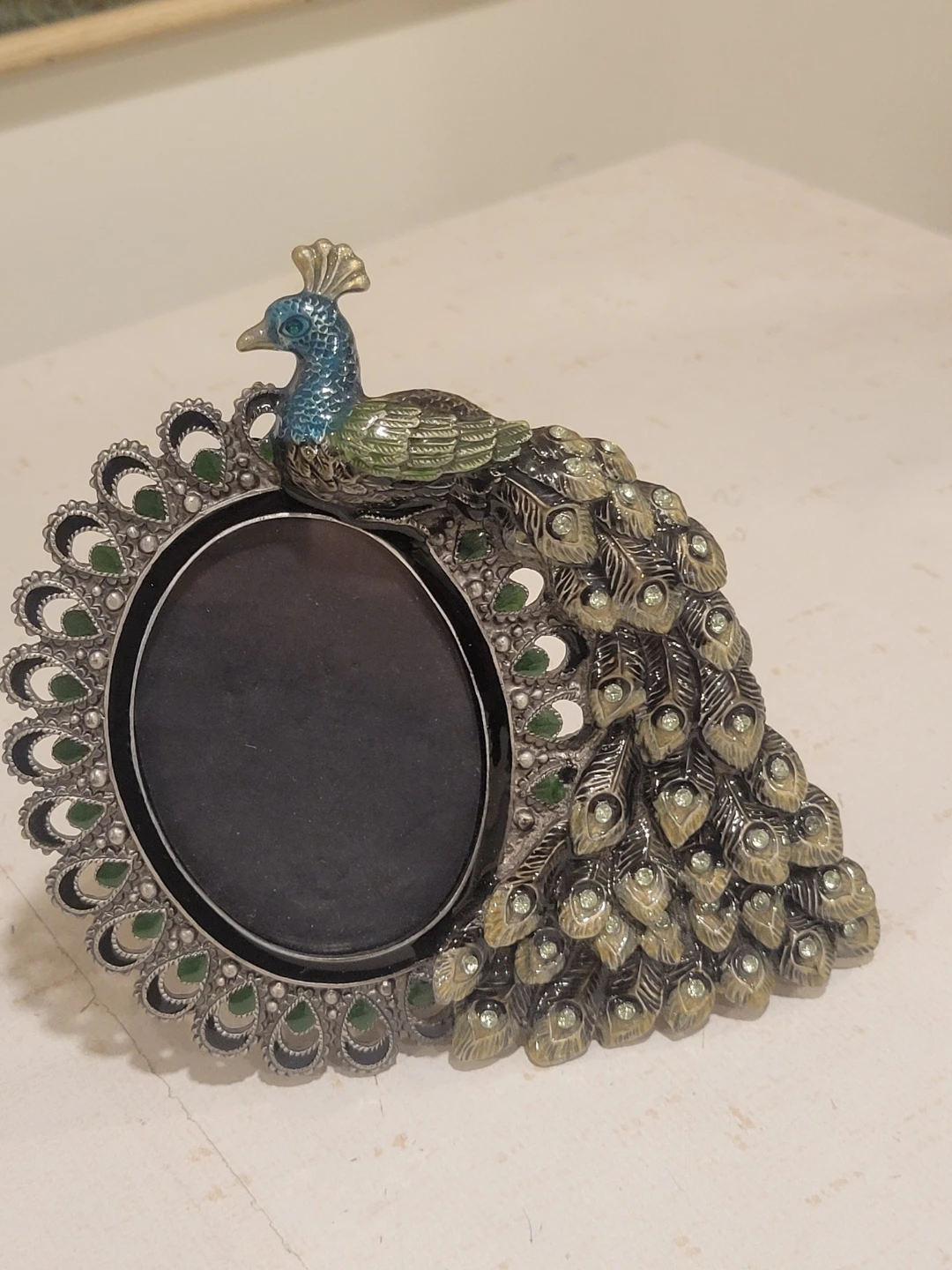 Beautiful Pier 1 Imports Peacock Picture Frame