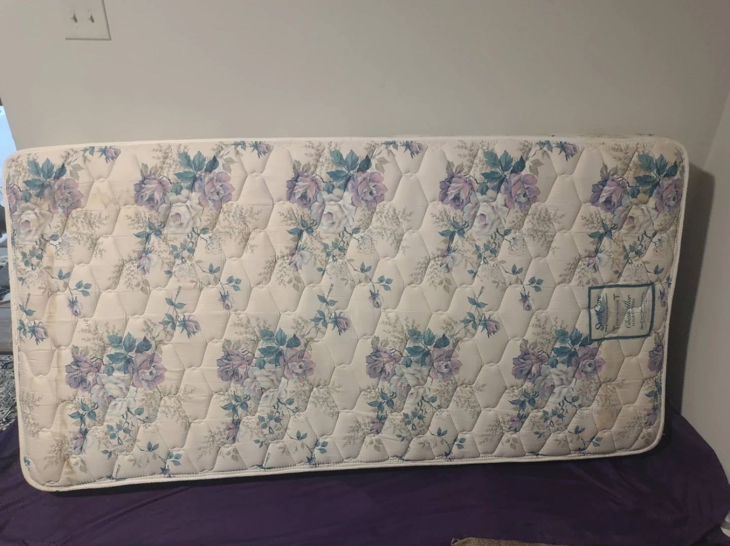 Twin Mattress FREE