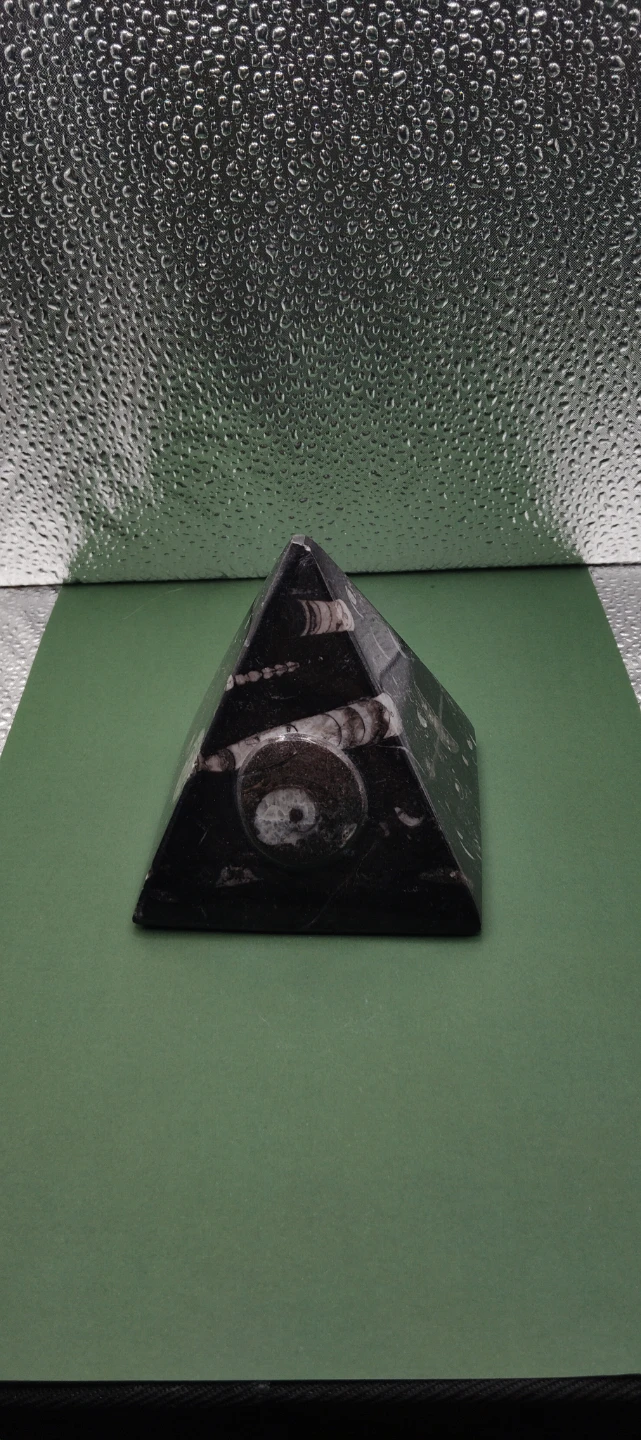 Decorative Black orthoceras Ammonite Fossil Pyramid