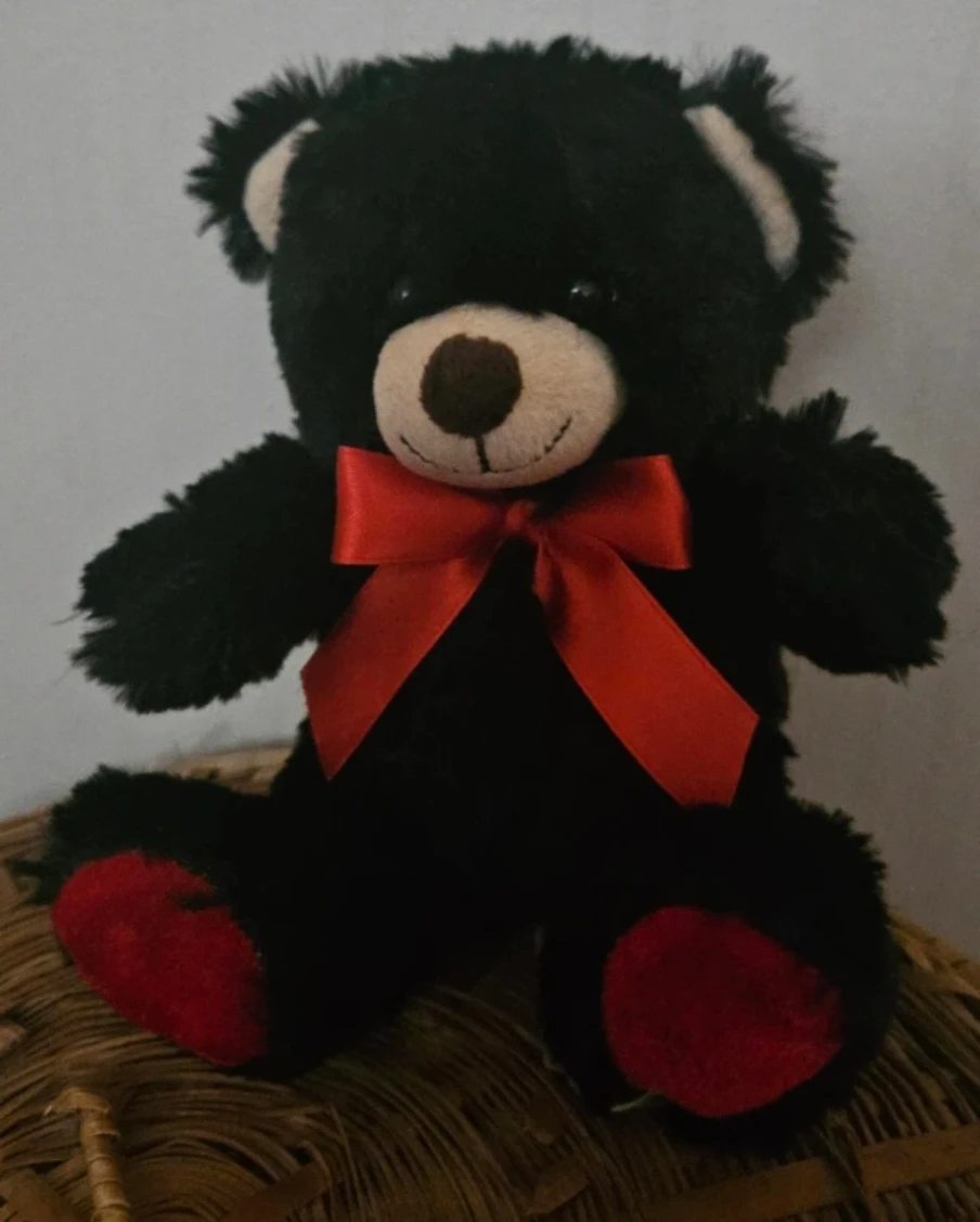 Black Teddy Bear with Red Bow