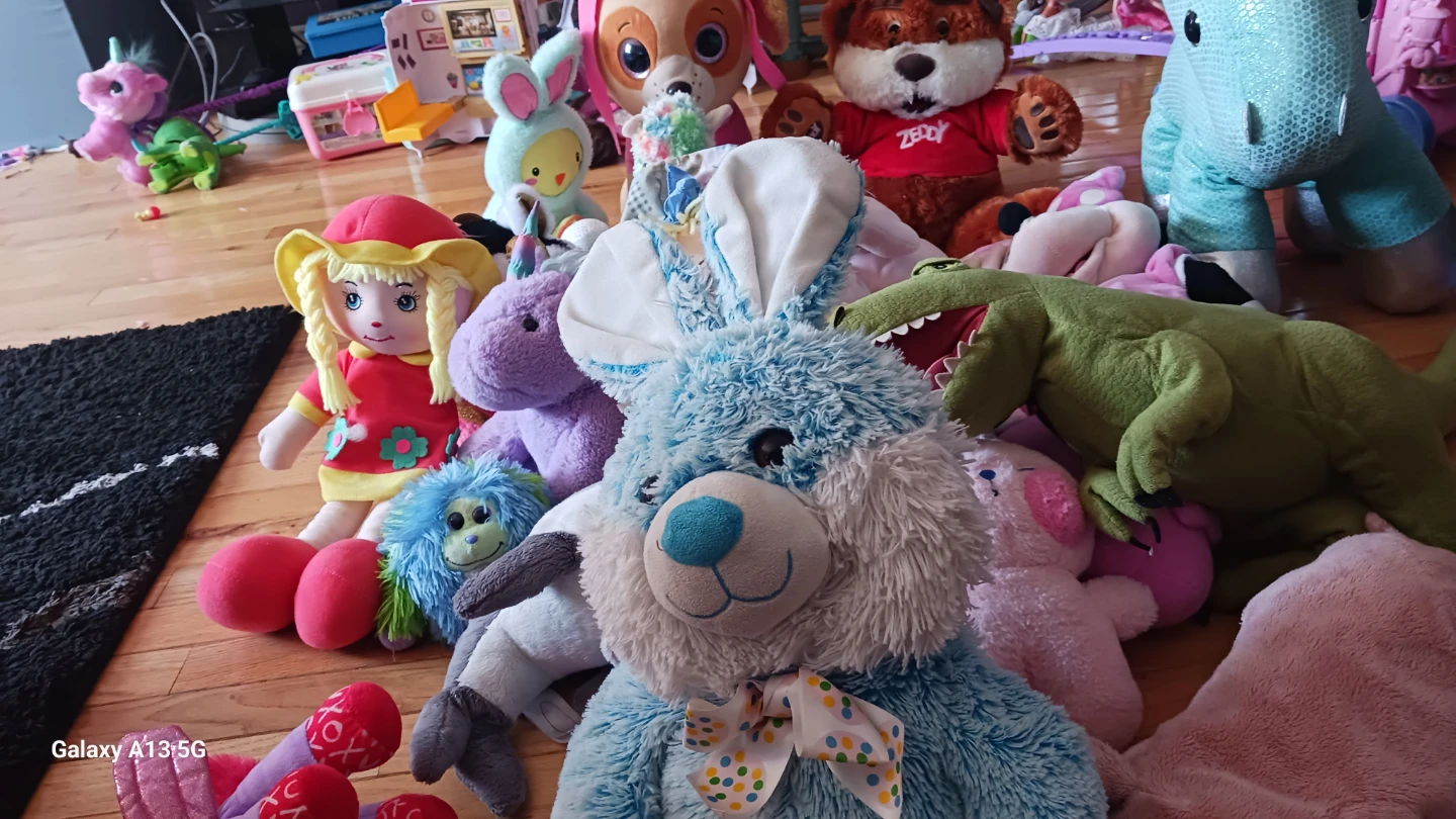 Huge Plush Toy Bundle - photo 3