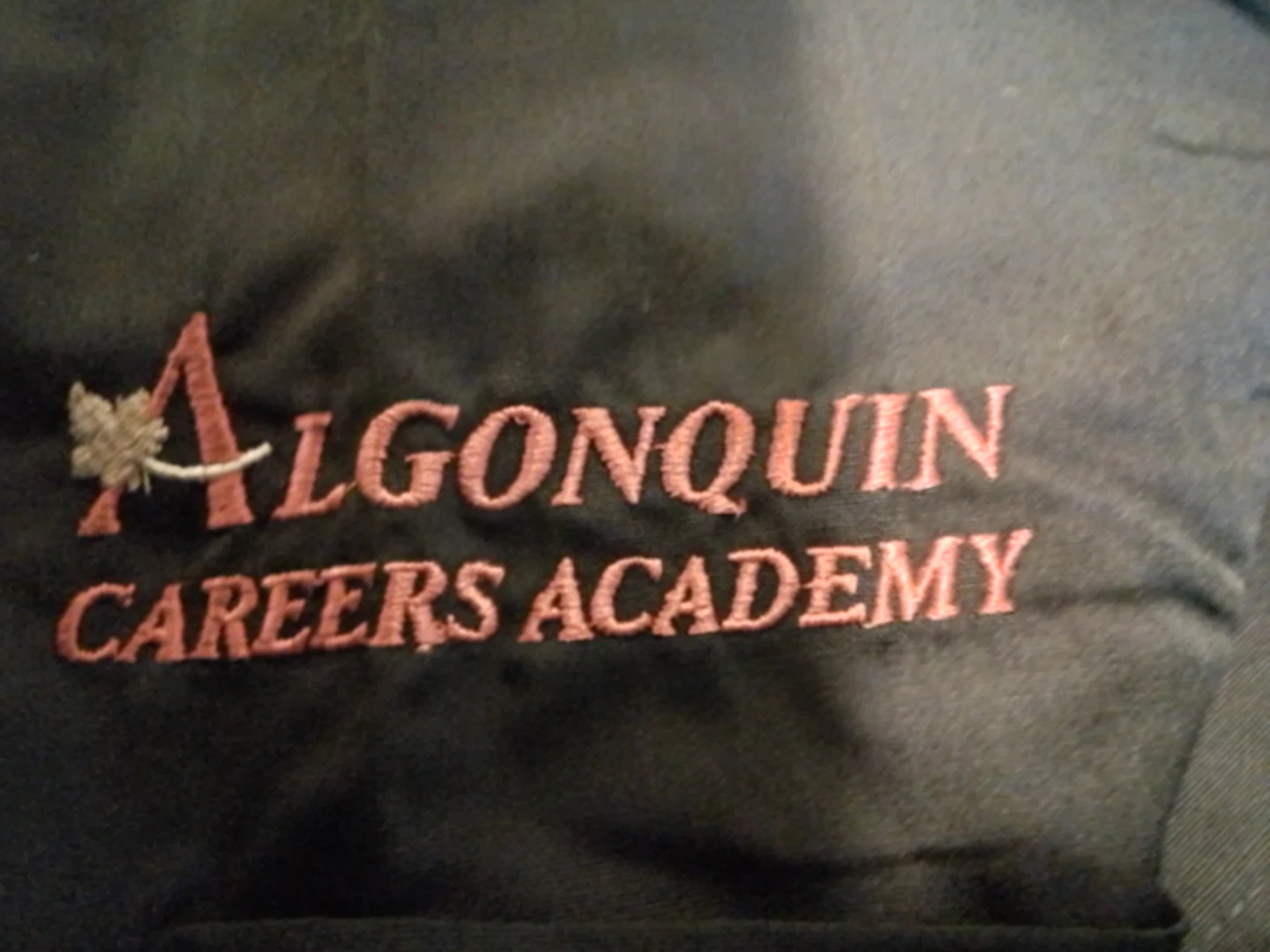 Klikfifs Black Scrub Top - Large - Algonquin Careers Academy - photo 5
