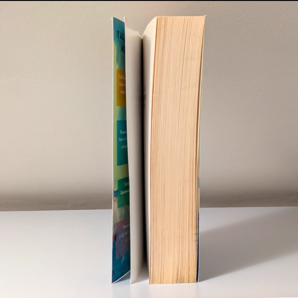 It All Comes Down to This Novel - photo 2