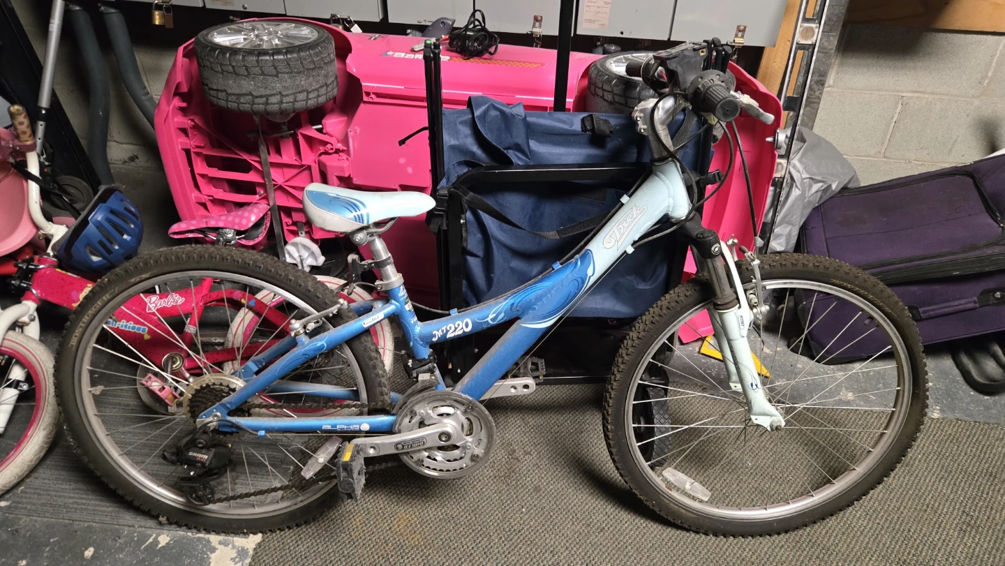 Trek MT220 Girls Mountain Bike