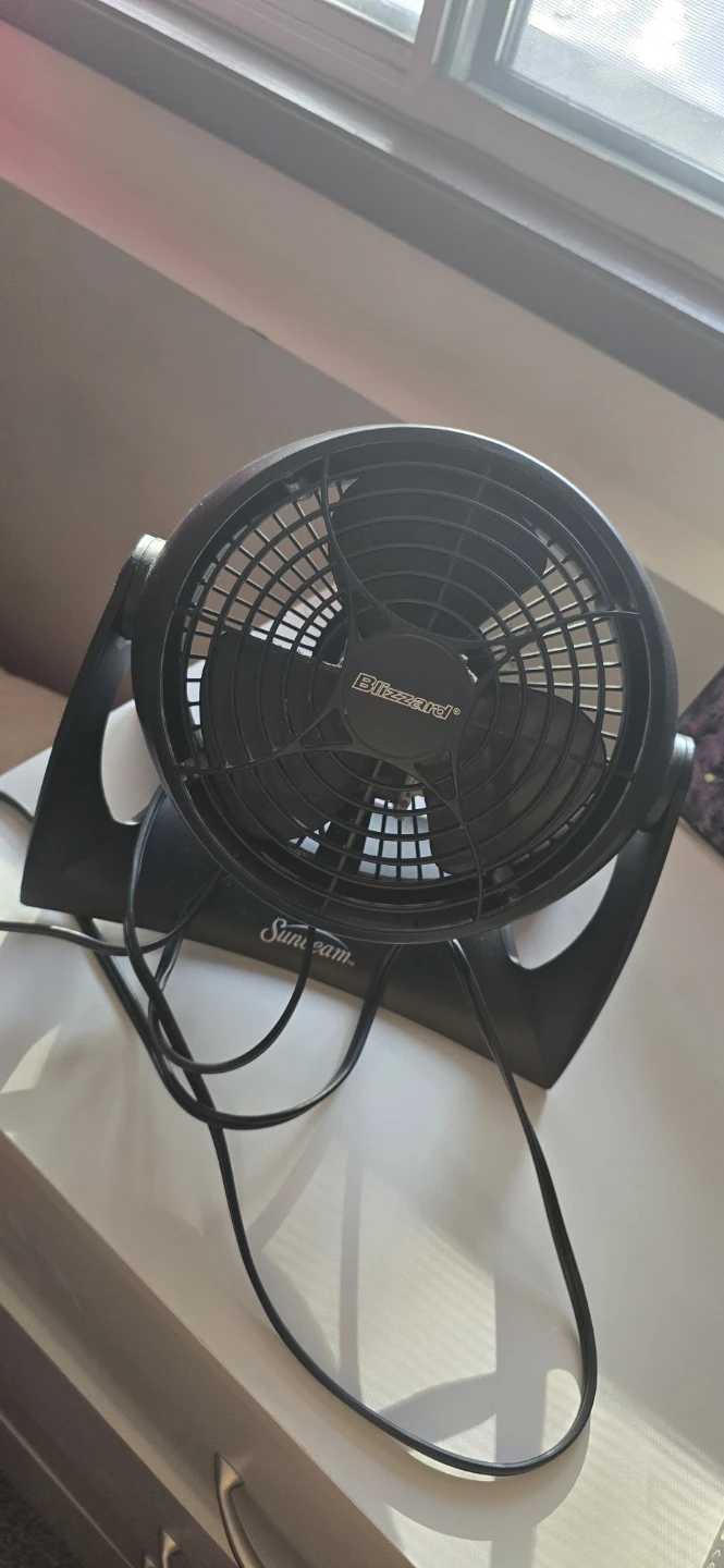 Sunbeam Blizzard Fan