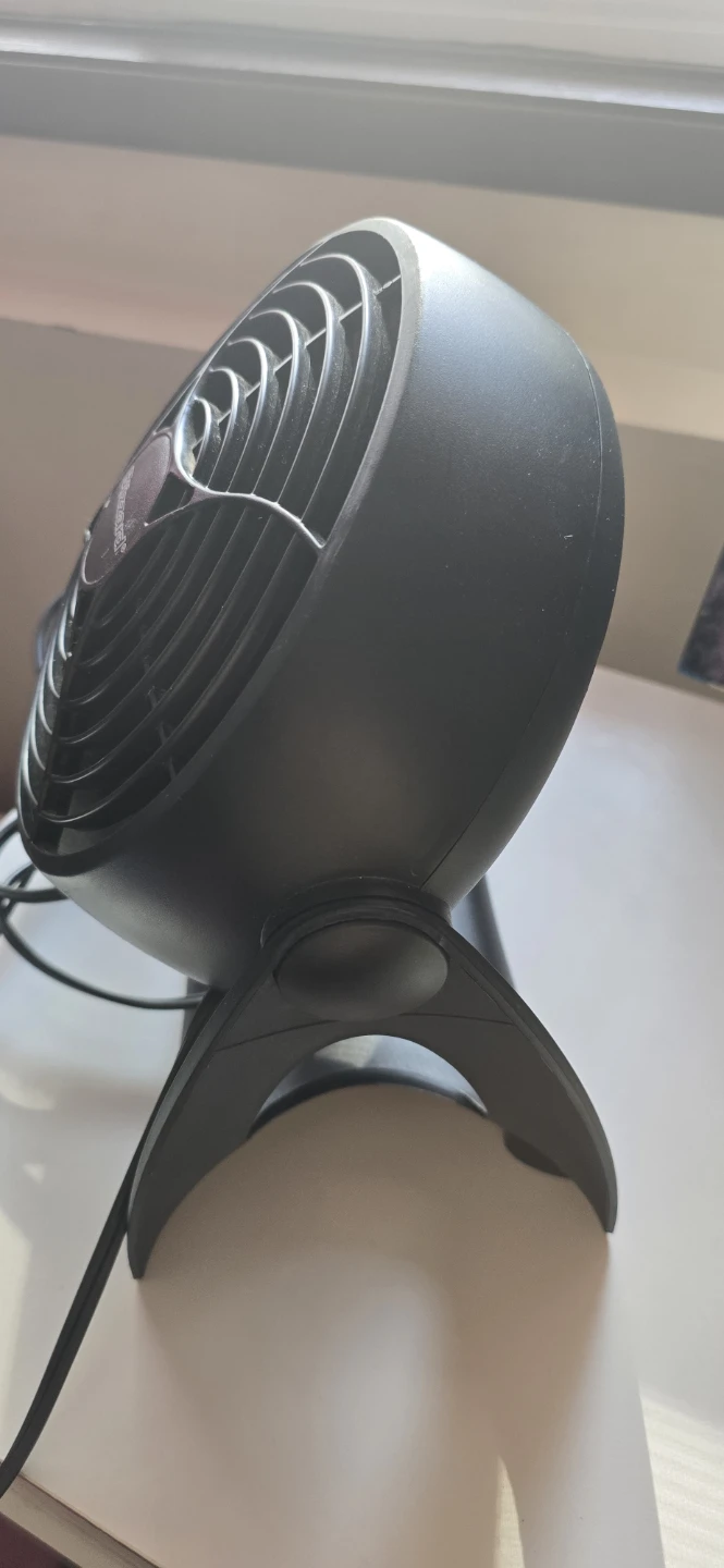 Sunbeam Blizzard Fan - photo 2
