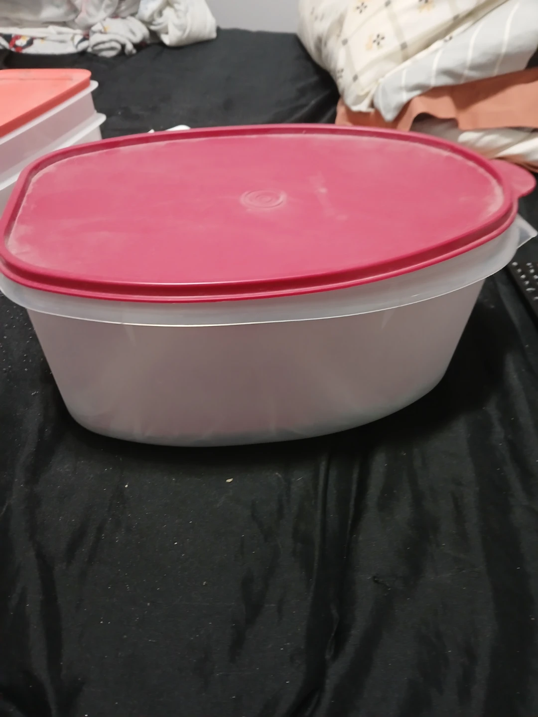 Plastic Food Container with Red Lid