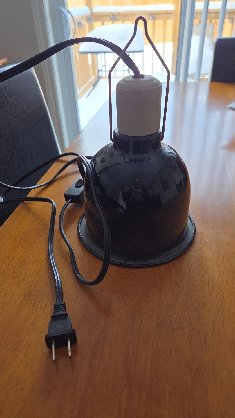 Black Heat Lamp with Switch