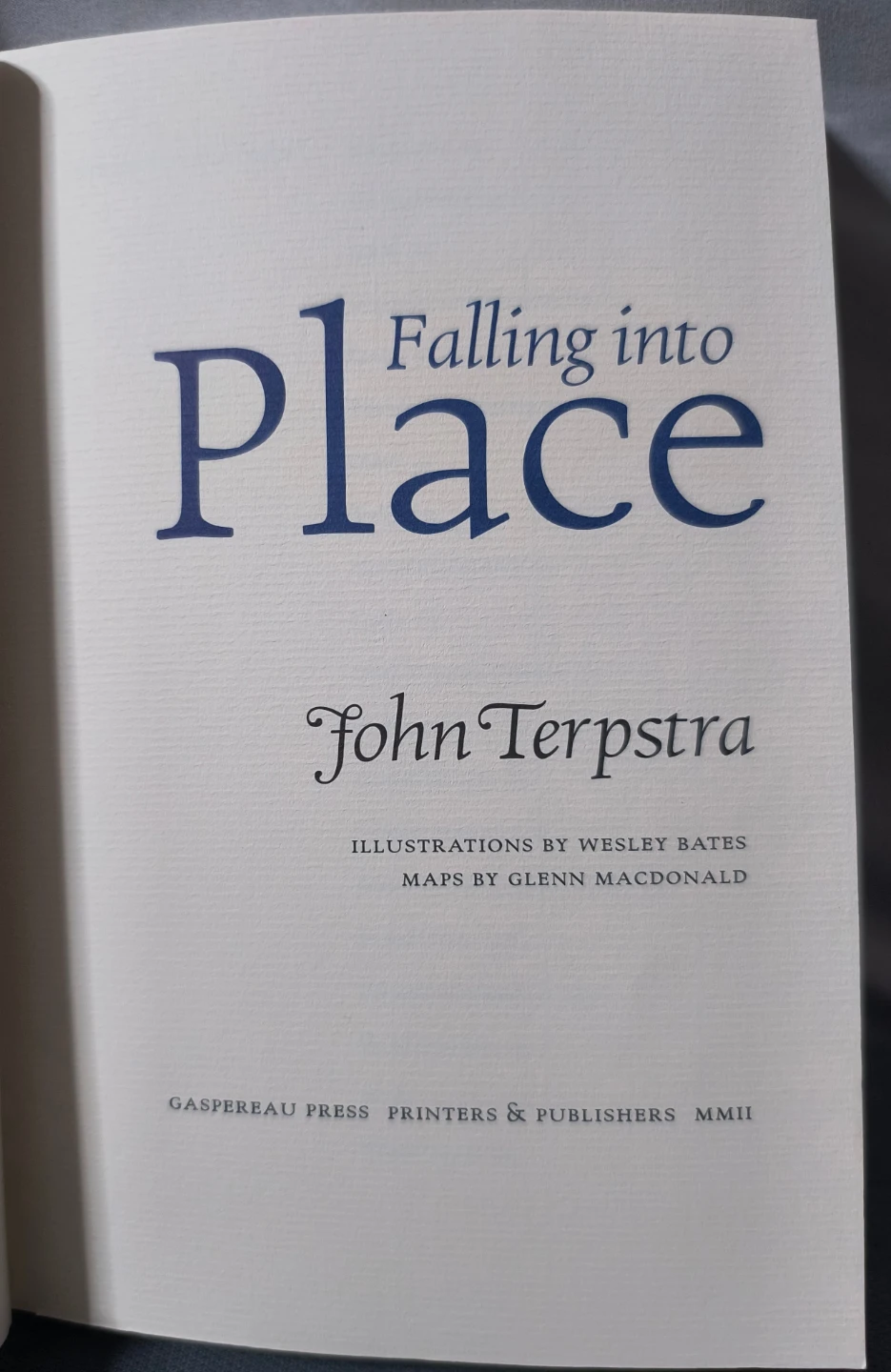 Falling into Place by John Terpstra