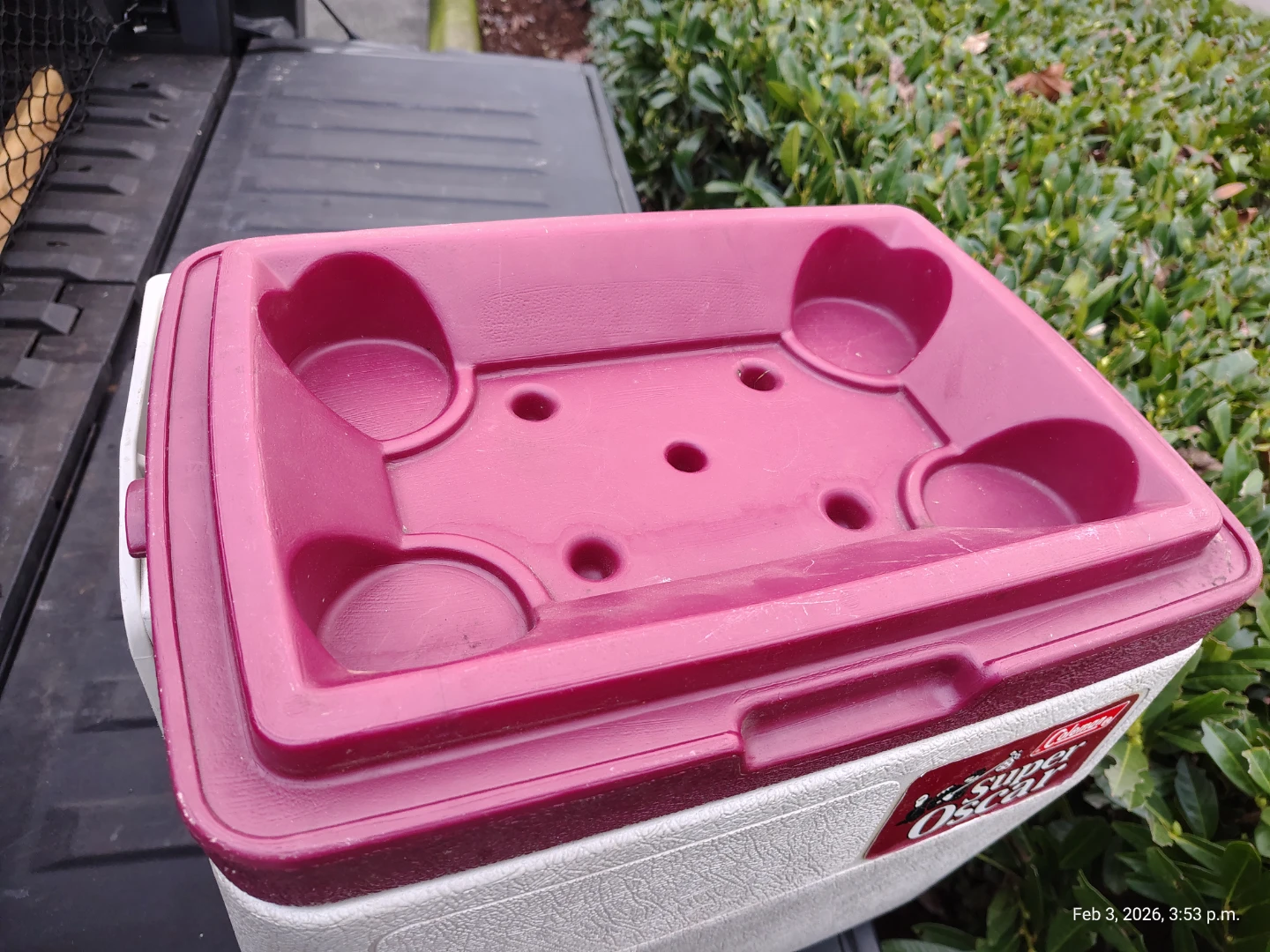 Rare! Coleman 24 qt Picnic Cooler with Drain - photo 3