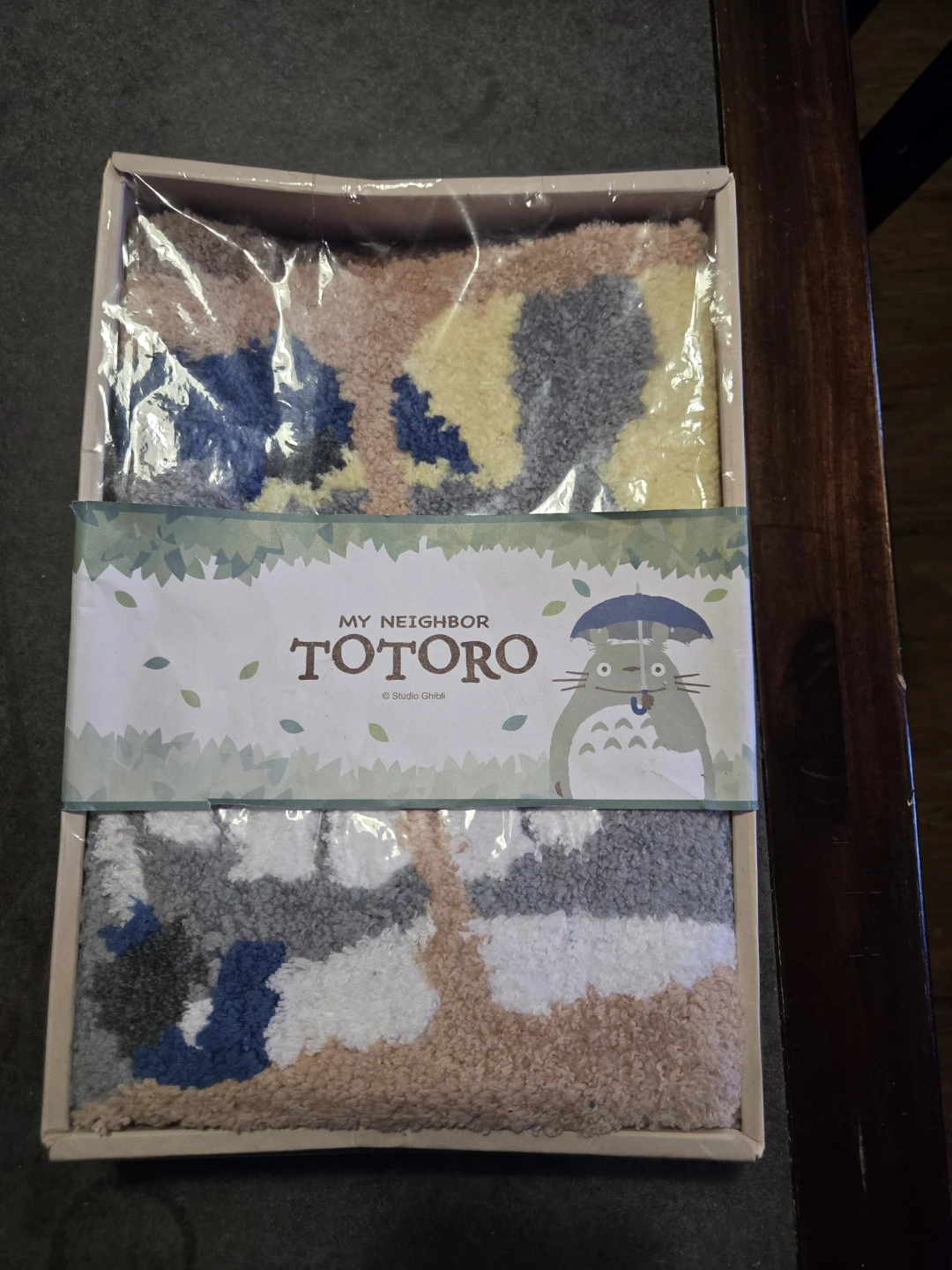 My Neighbor Totoro Bath Mat from Japan
