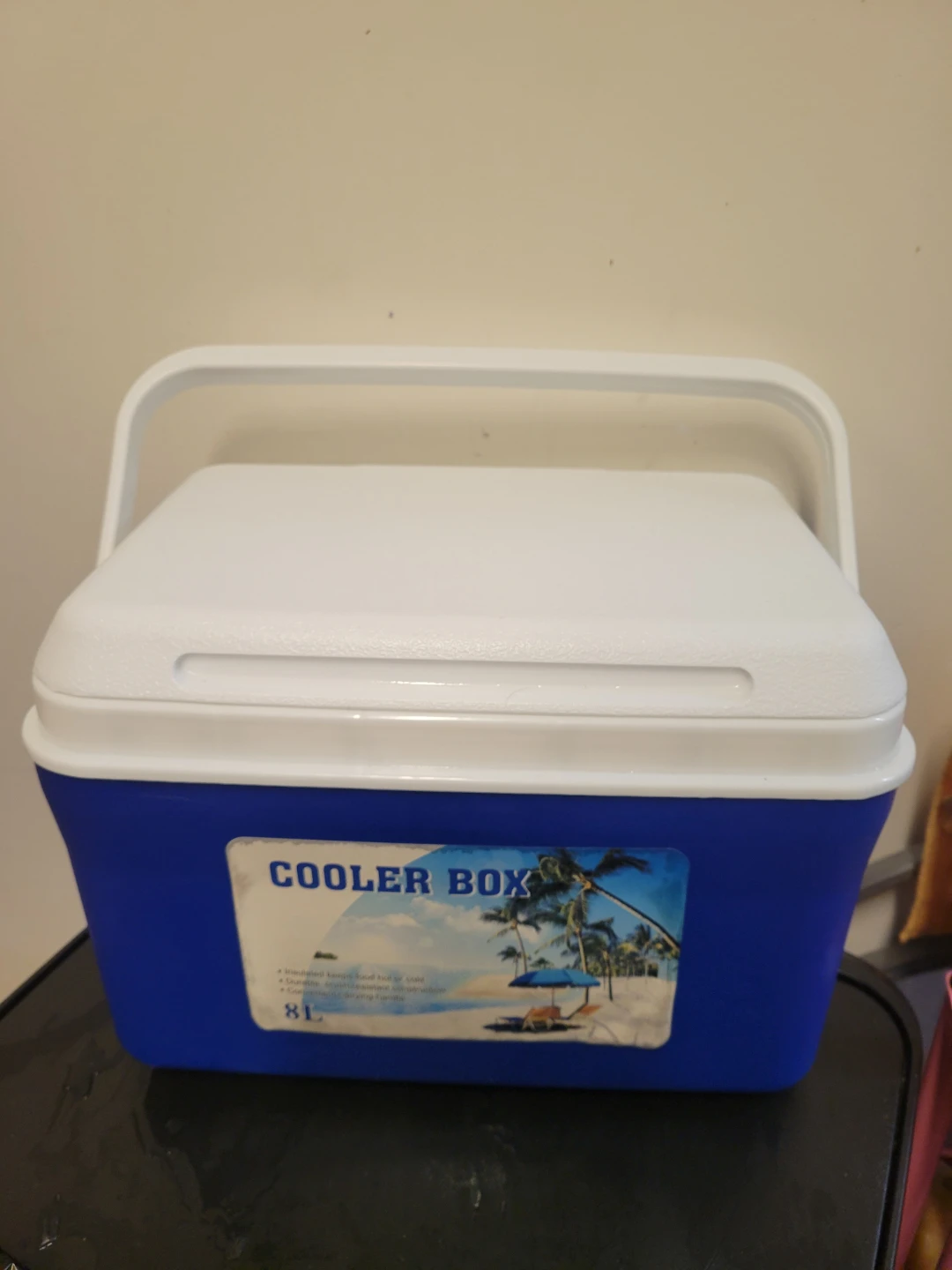 Cooler Box 8L Blue/White