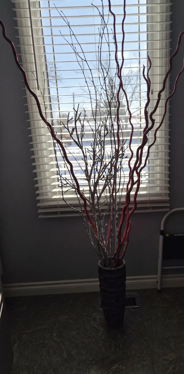 Decorative Vase with Branches