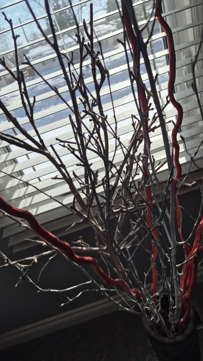 Decorative Vase with Branches - photo 3