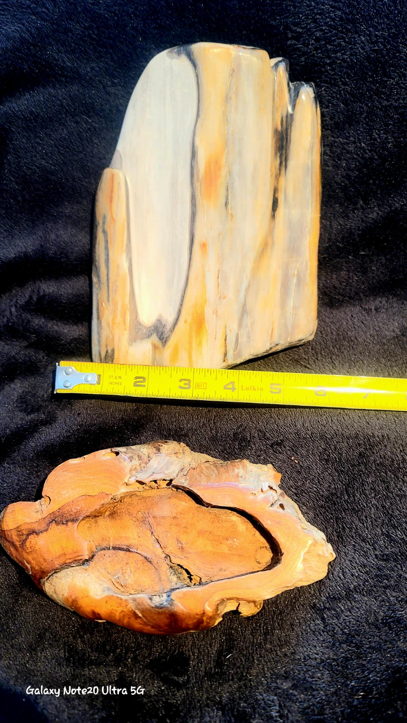 Petrified Wood Sculpture with Wooden Base - photo 4