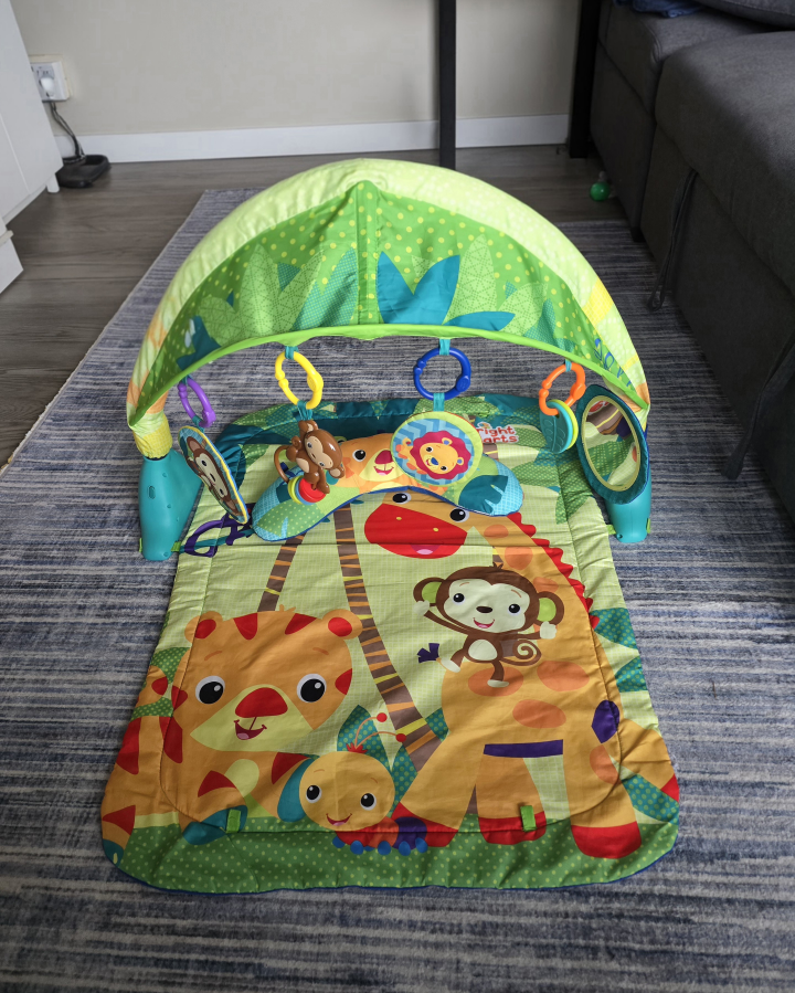 Bright Starts Lights & Giggles Gym - photo 2