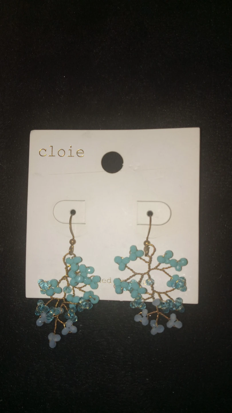 Pretty Earrings