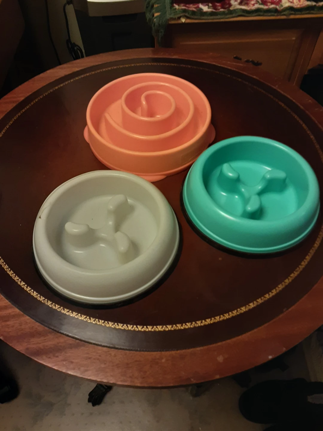 Pet Slow Feeder Bowls and Regular Bowls