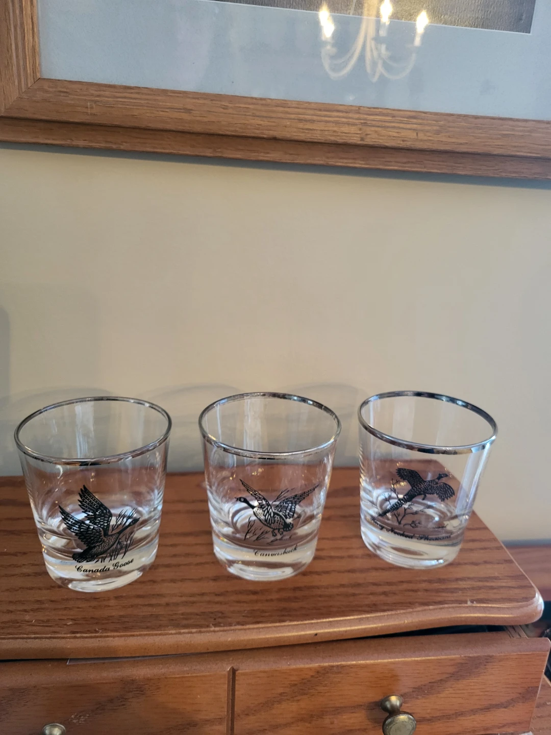 Set of 3 Vintage Whiskey Tumblers with Wildlife Prints