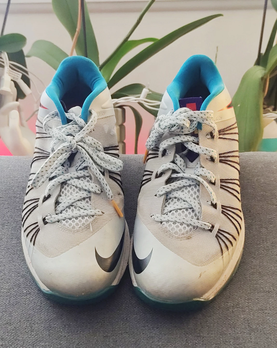 Nike Running Shoes