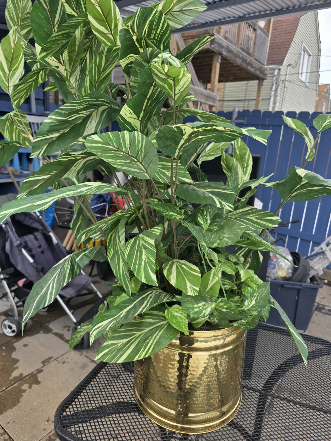 Large Potted Tropical Plant - photo 2