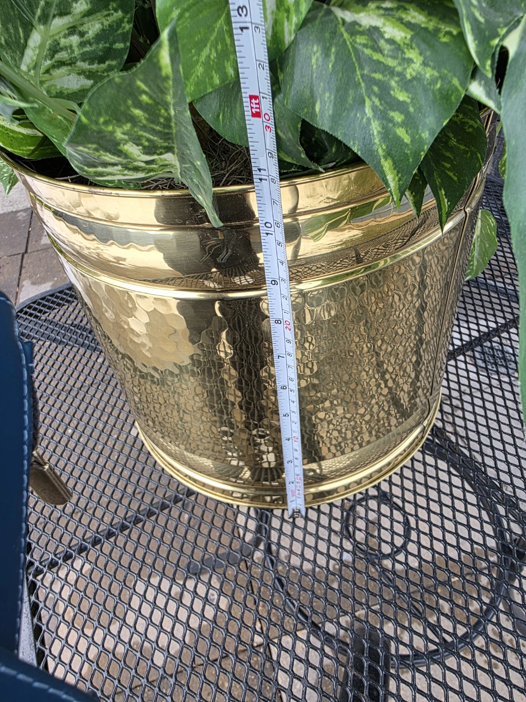 Large Potted Tropical Plant - photo 4