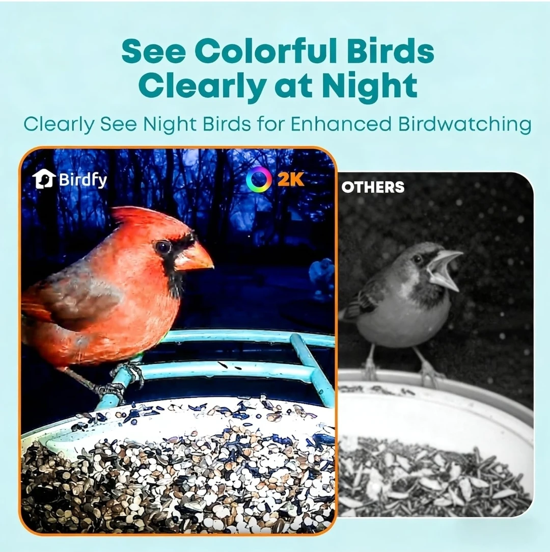 Birdfy Smart Bird Feeder with Camera and Solar Panel - photo 2