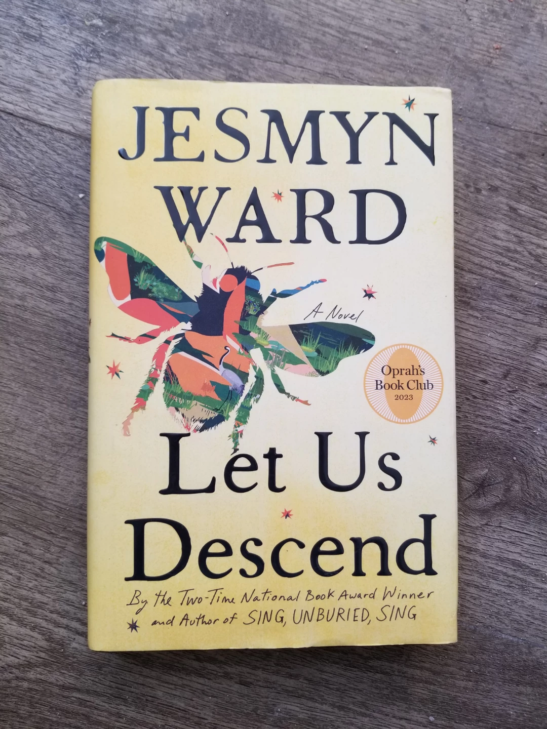 Let Us Descend by Jesmyn Ward Novel
