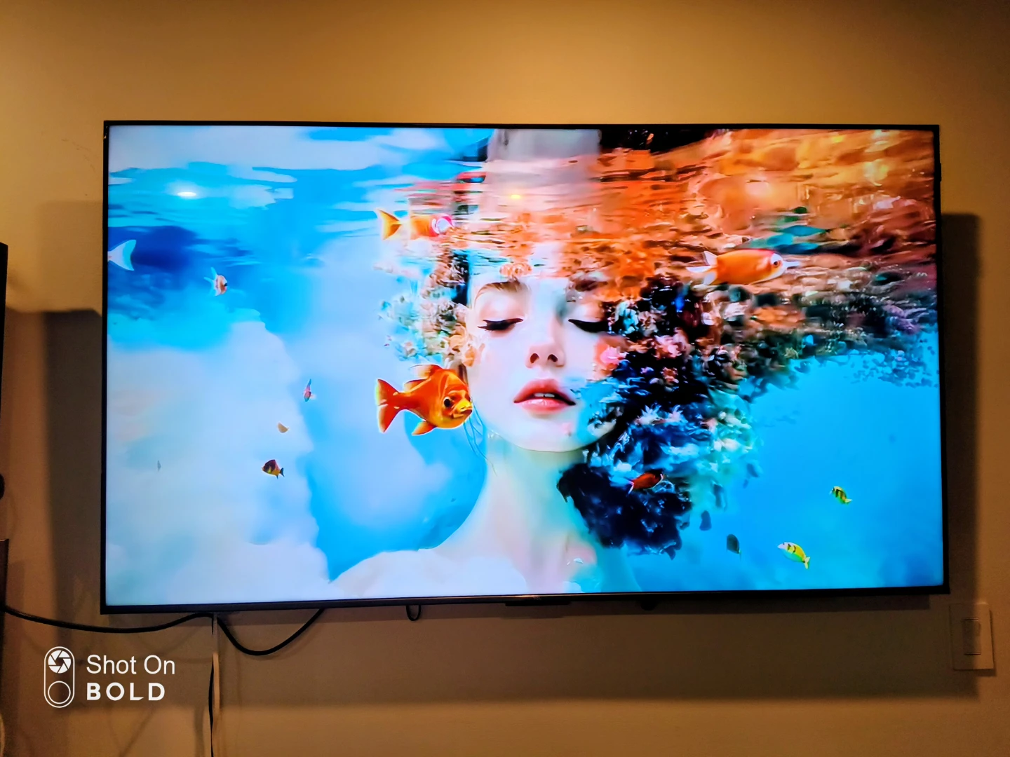 TCL 65" Q6 Series QLED 4K TV (65Q651G) + free mounting kit