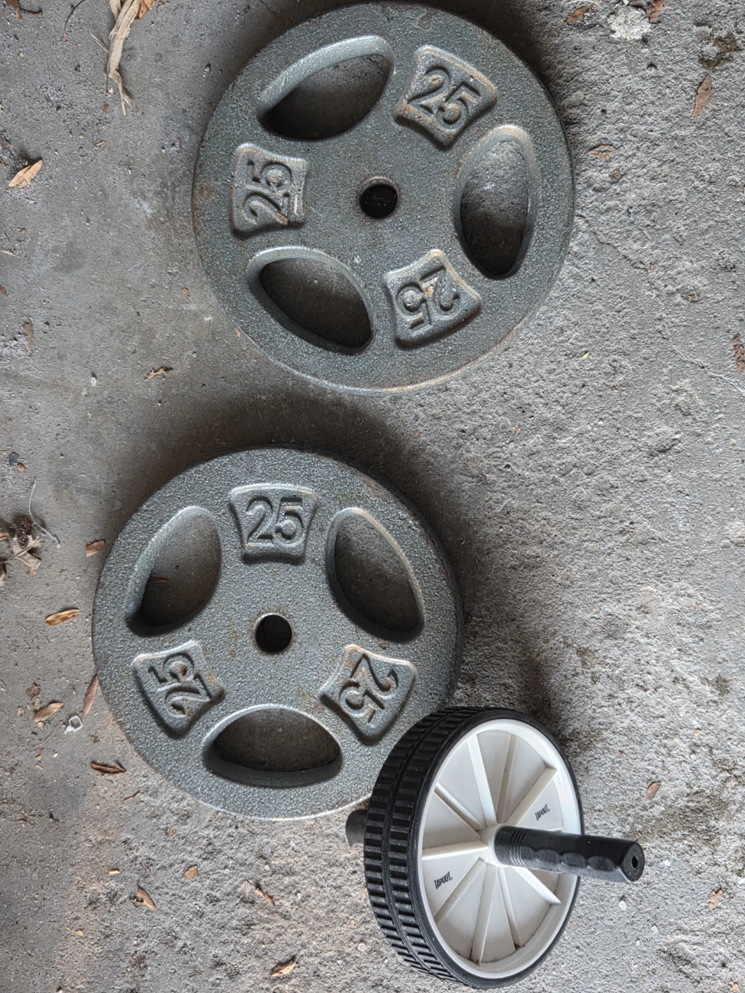 Two 25lb Weight Plates and Ab Roller