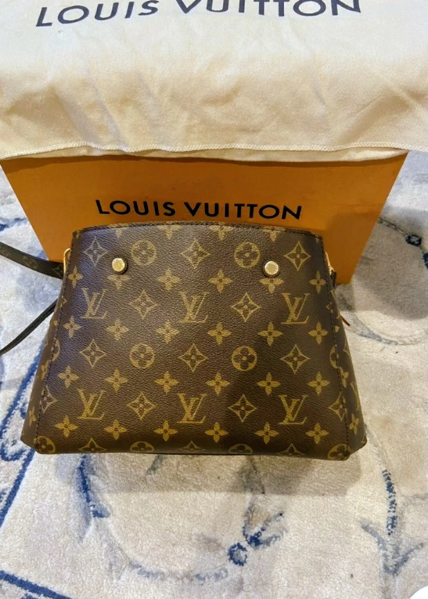 Louis Vuitton Monogram Speedy Bag