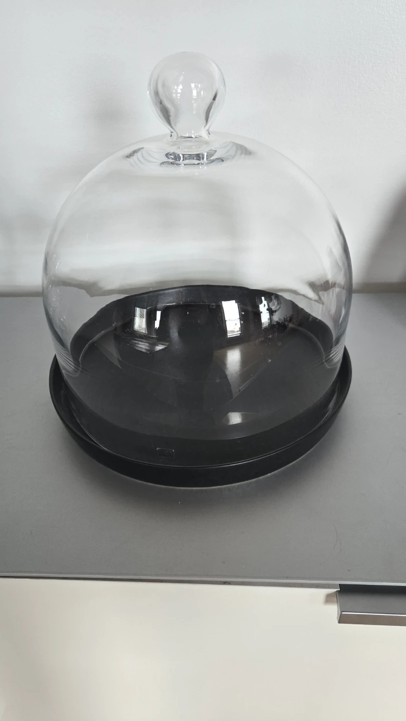 Glass Cloche Dome with Black Base