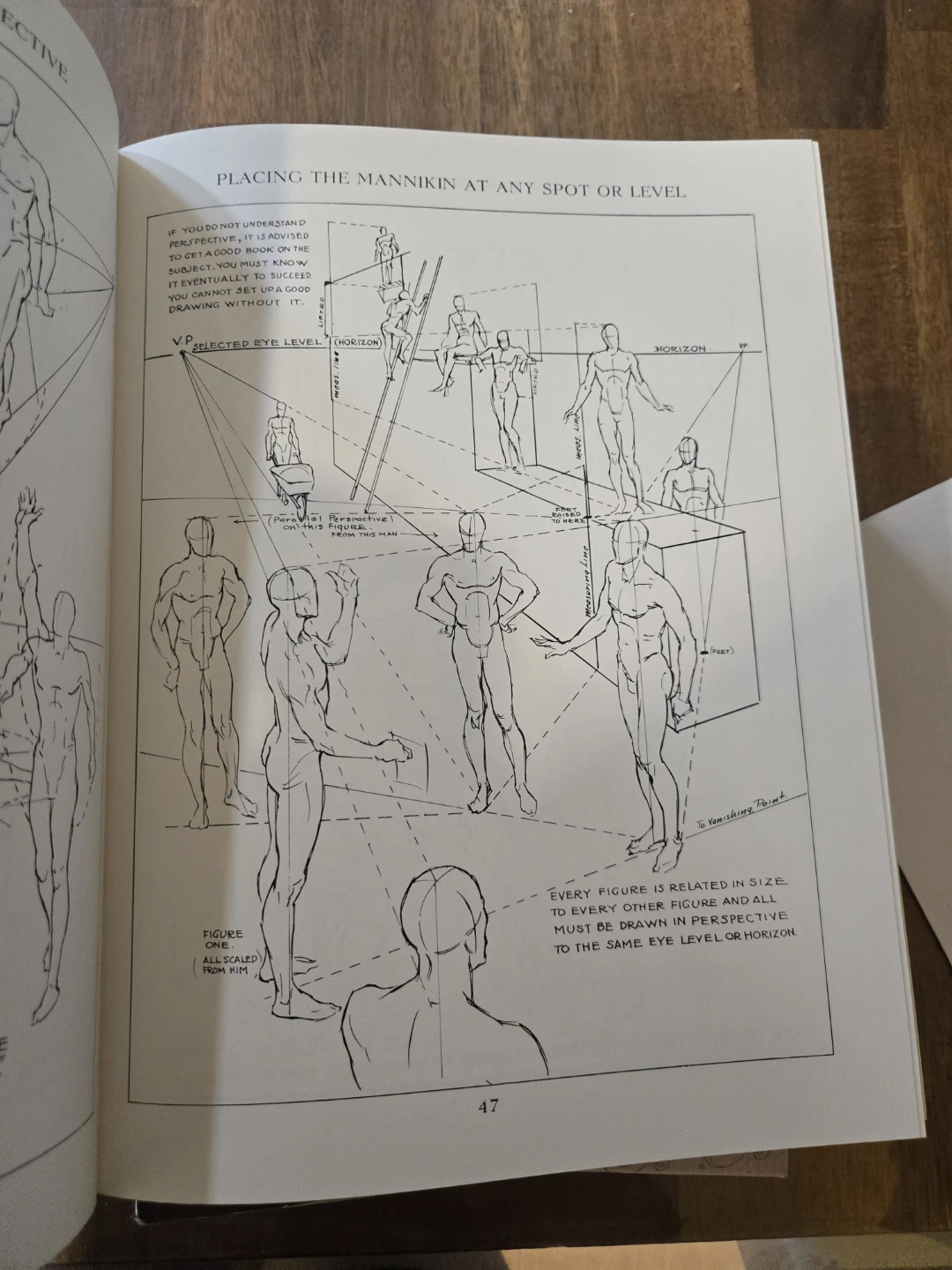 Figure Drawing For All It's Worth by Andrew Loomis Book - photo 2