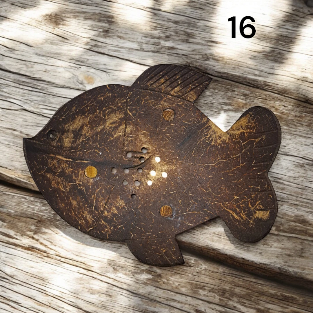 Coconut Shell Soap Dishes  16🏆