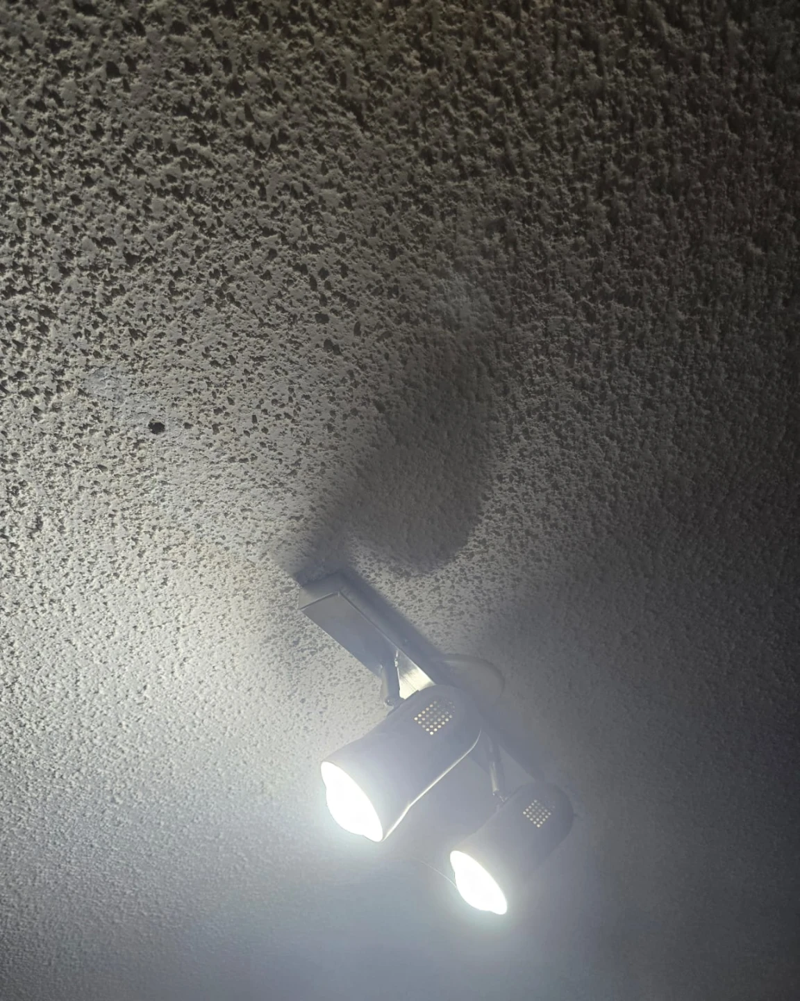 Two-head track lighting fixture - photo 2