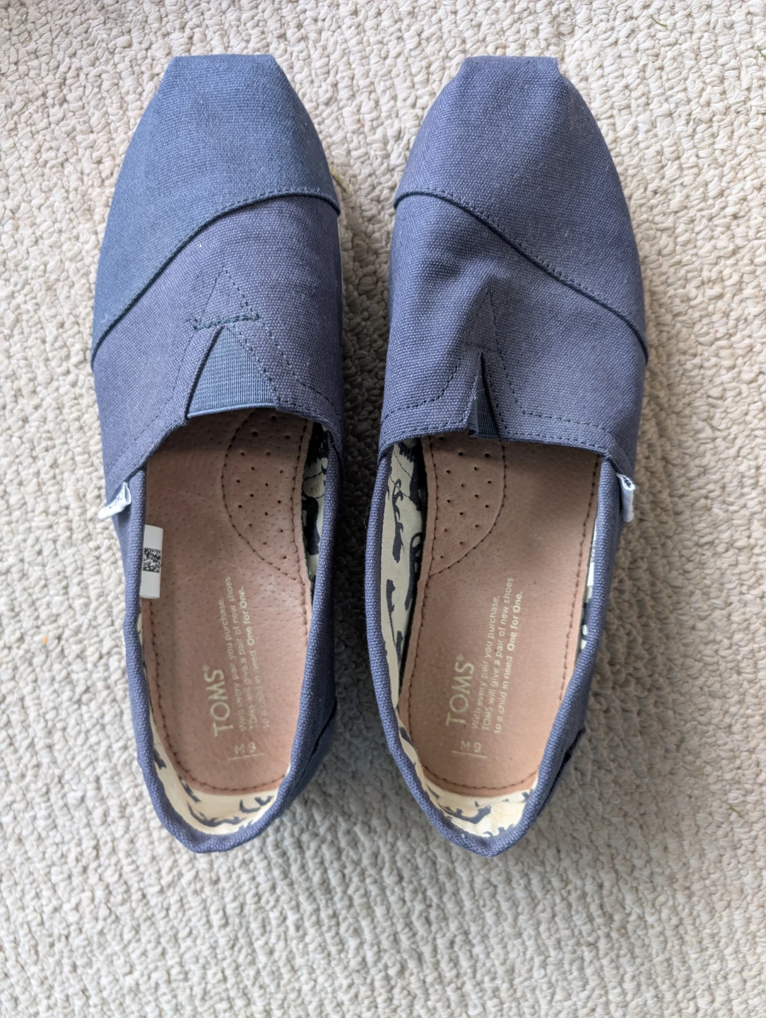 TOMS Blue Canvas Slip-On Shoes - Size M9