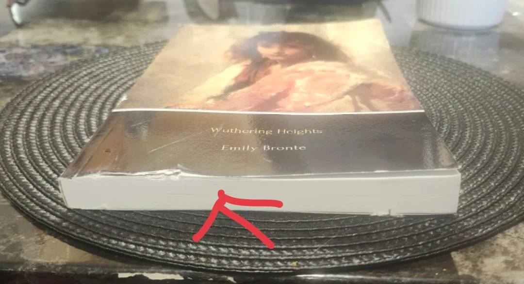 Wuthering Heights by Emily Bronte - photo 3