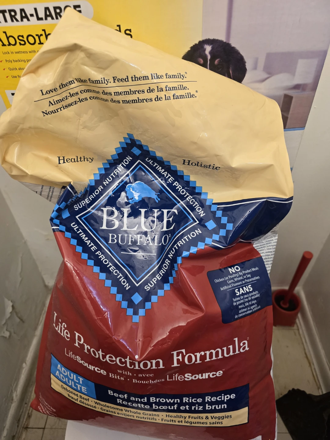 DOG FOOD - photo 2