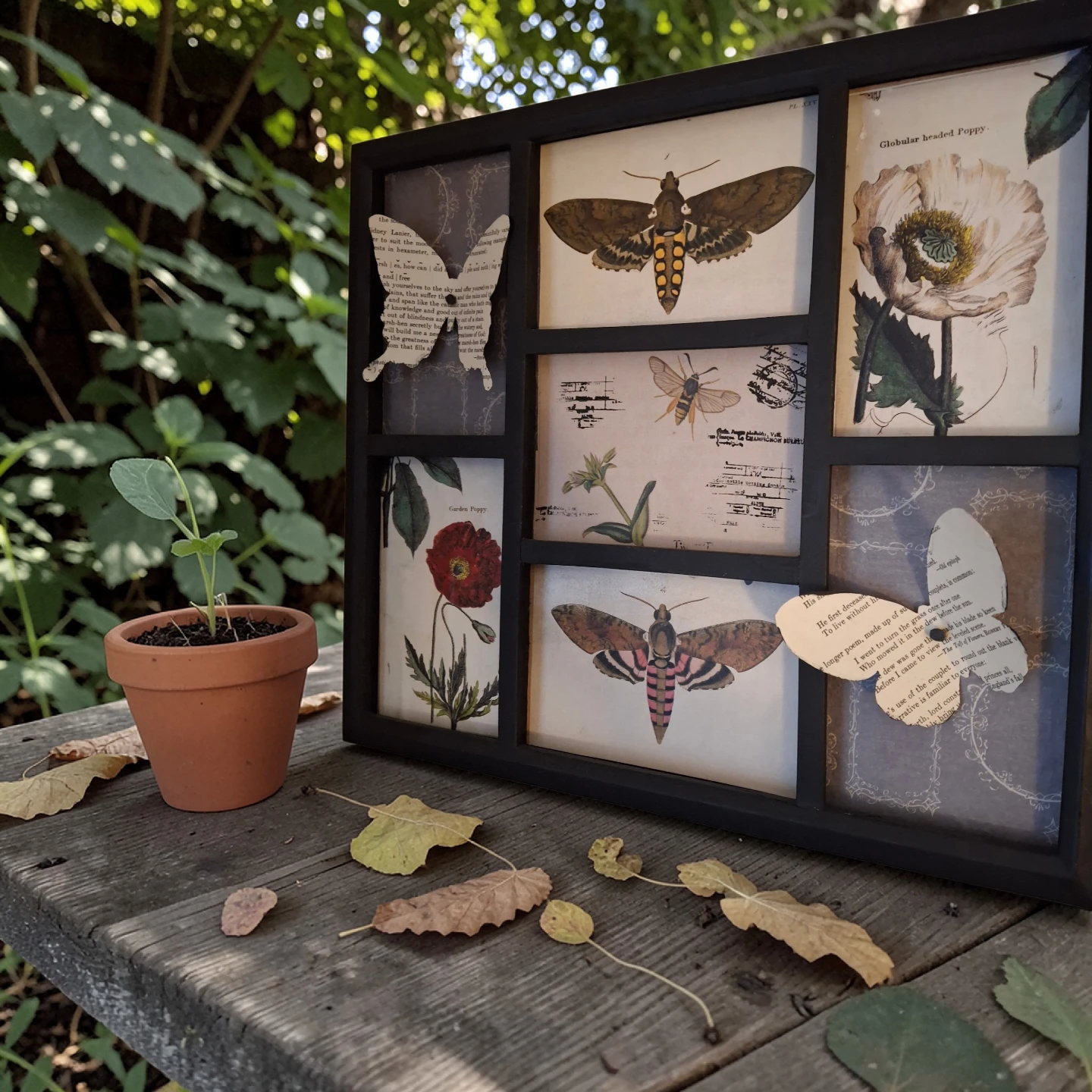 Botanical Print Wall Art