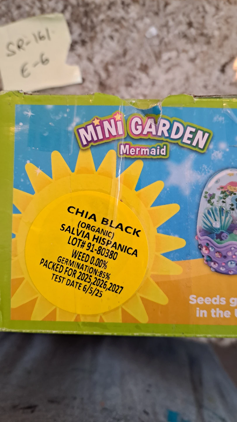 Creativity for Kids Mini Garden Mermaid Terrarium Kit - photo 4