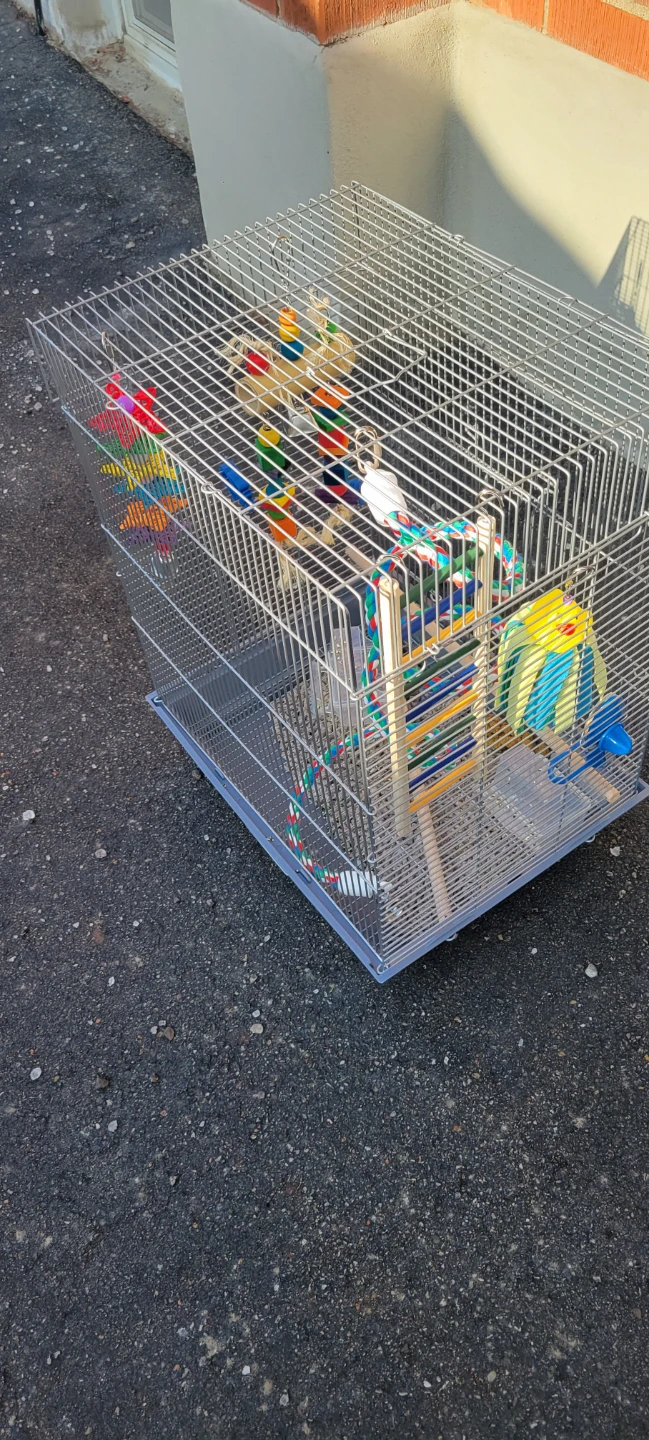 Bird Cage with Toys and Perches - photo 4