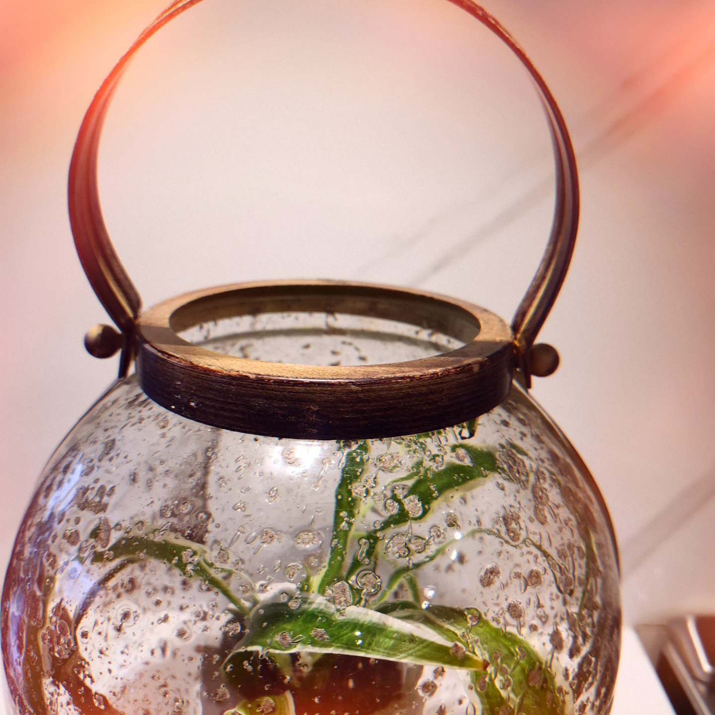 Globe shaped glass planter with spider plant - photo 3