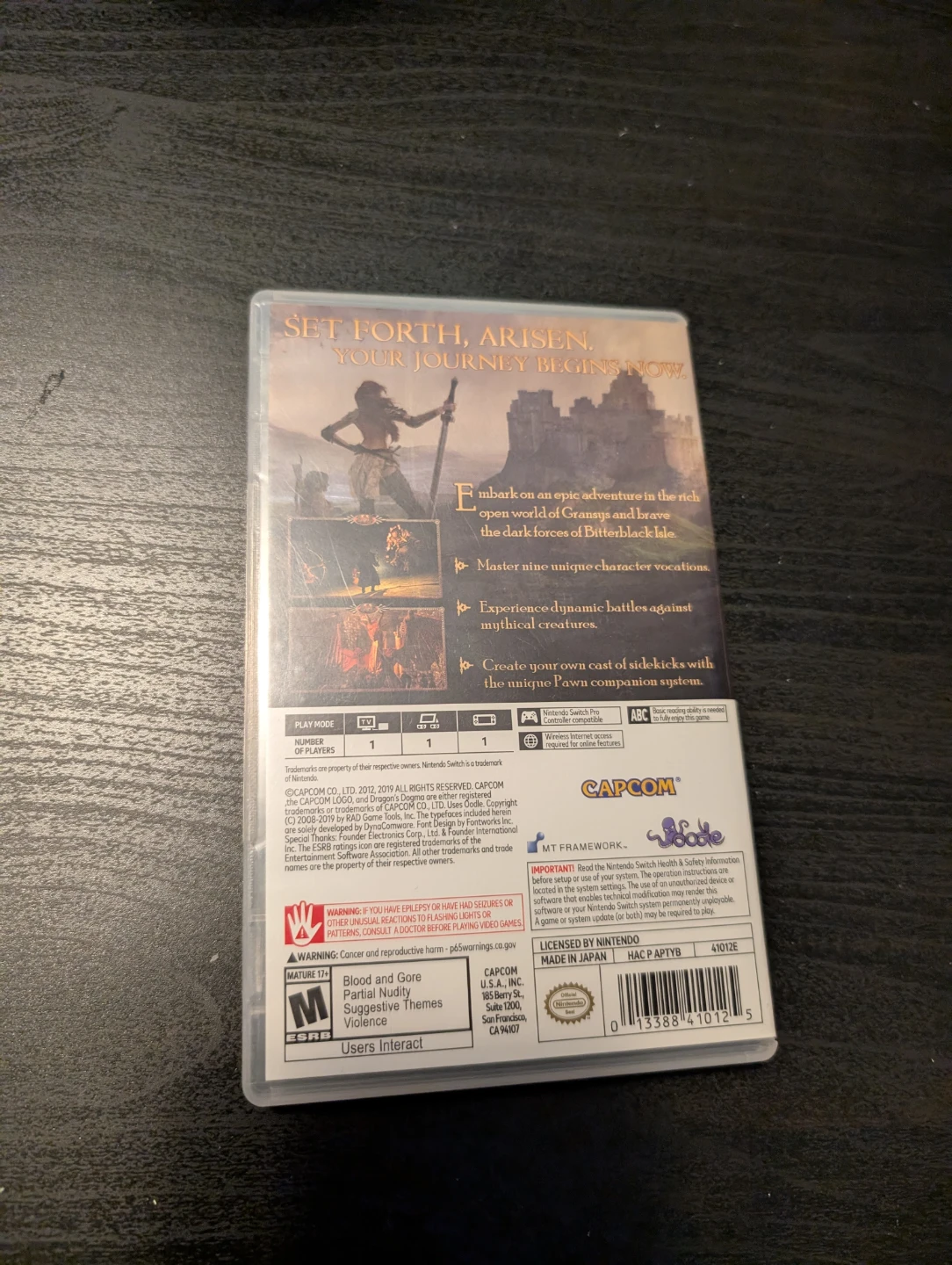 Nintendo Switch Dragon's Dogma: Dark Arisen Game - photo 2