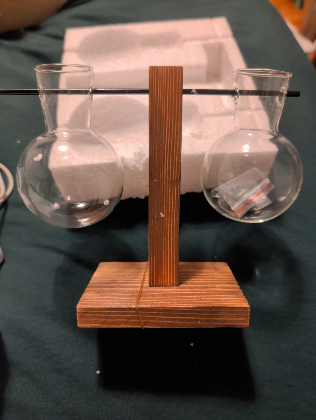 Glass Plant Propagation Station with Wooden Stand