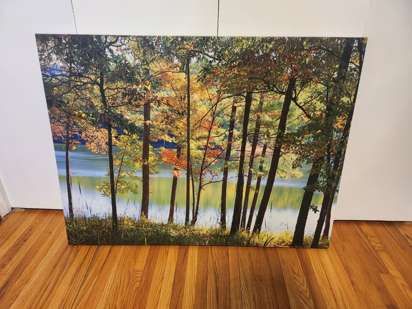 Autumn Trees and Lake Canvas Wall Art