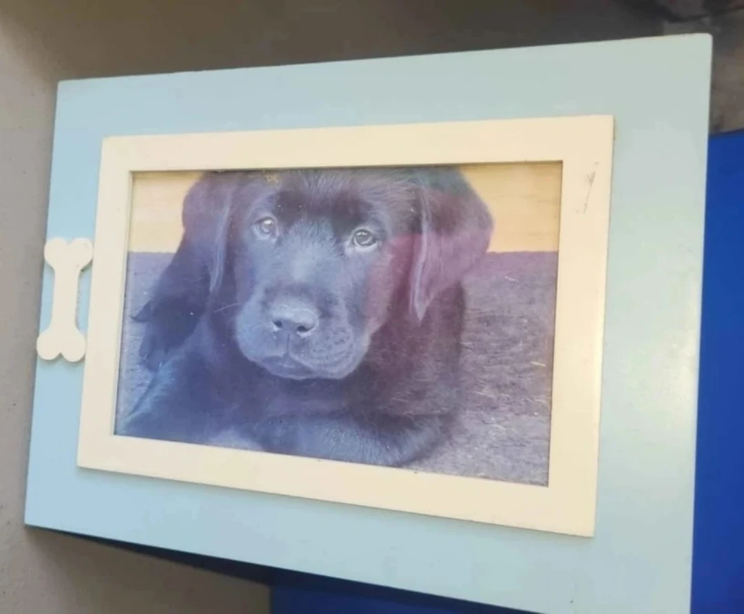 Photo Frame Collection - Dog and Cat Theme - photo 3