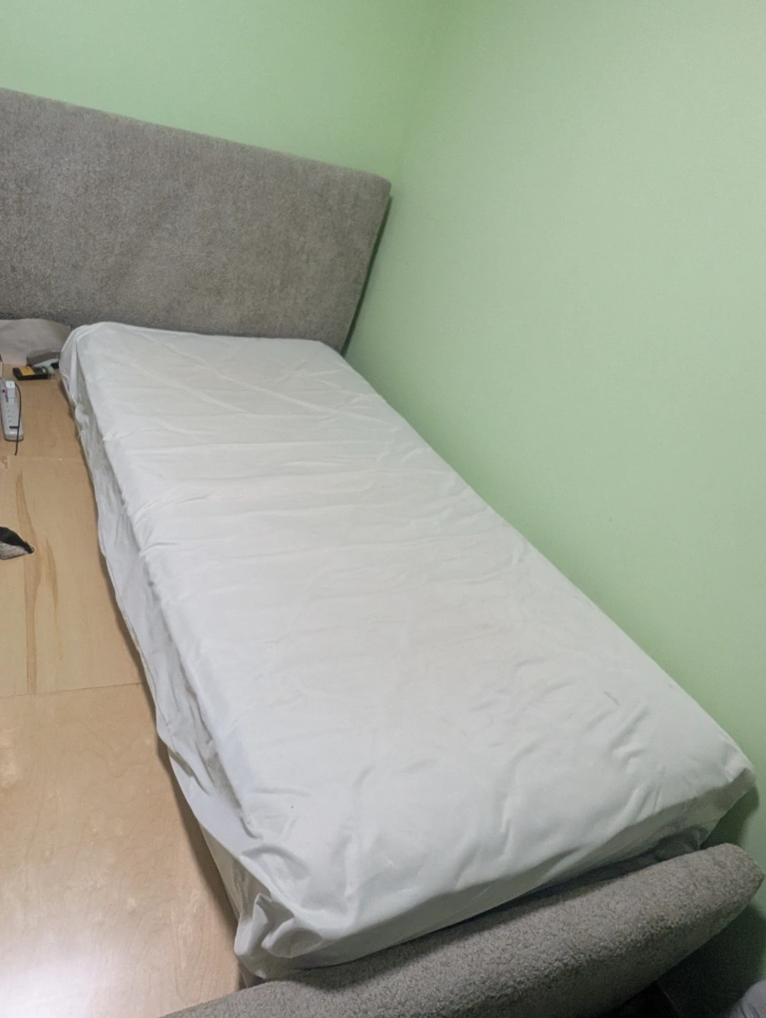 Single mattress with protector